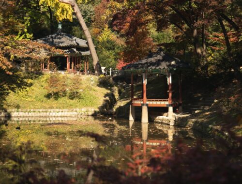 jardin d'acclimatation paris jardin coréen architecture zen japonais visite culture